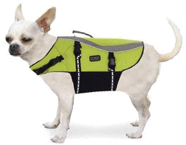 Dog life jackets