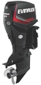 Evinrude E-Tec Outboards